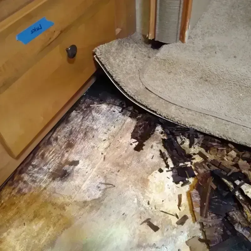 Best Wood Floor Water Damage Service in Saint George, UT